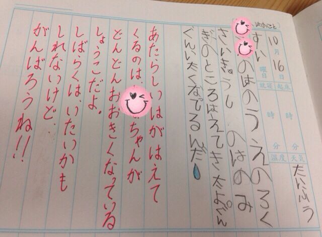 交換日記 まいにち おうち日和 ときどき 山 交換日記 まいにち おうち日和 ときどき 山