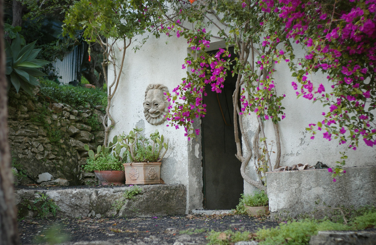 d0104210_6561933.jpg