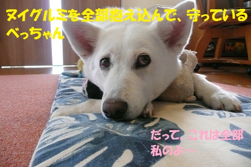 f0121712_16145287.jpg