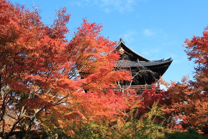 京都へ　２０１３年１１月　その２　天授庵_a0147813_21502996.jpg