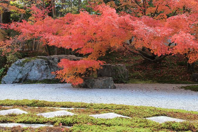 京都へ　２０１３年１１月　その２　天授庵_a0147813_21541218.jpg