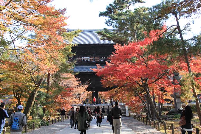 京都へ　２０１３年１１月　その２　天授庵_a0147813_2274360.jpg