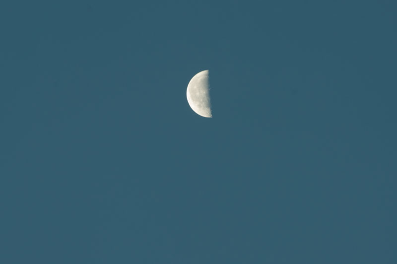 a0278914_65549.jpg