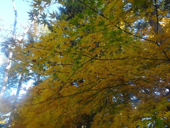 e0256814_11182429.jpg