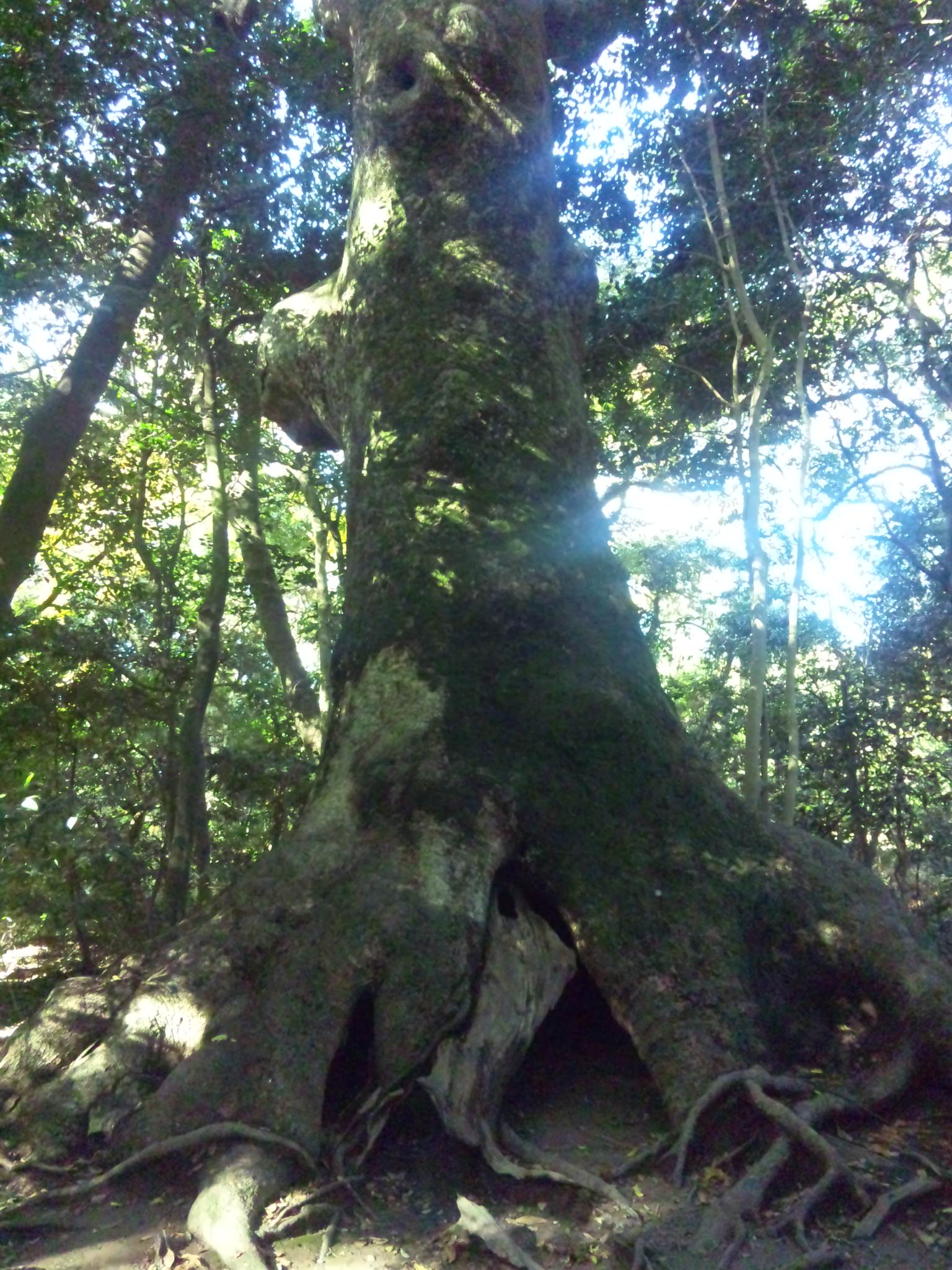 d0004717_10124490.jpg