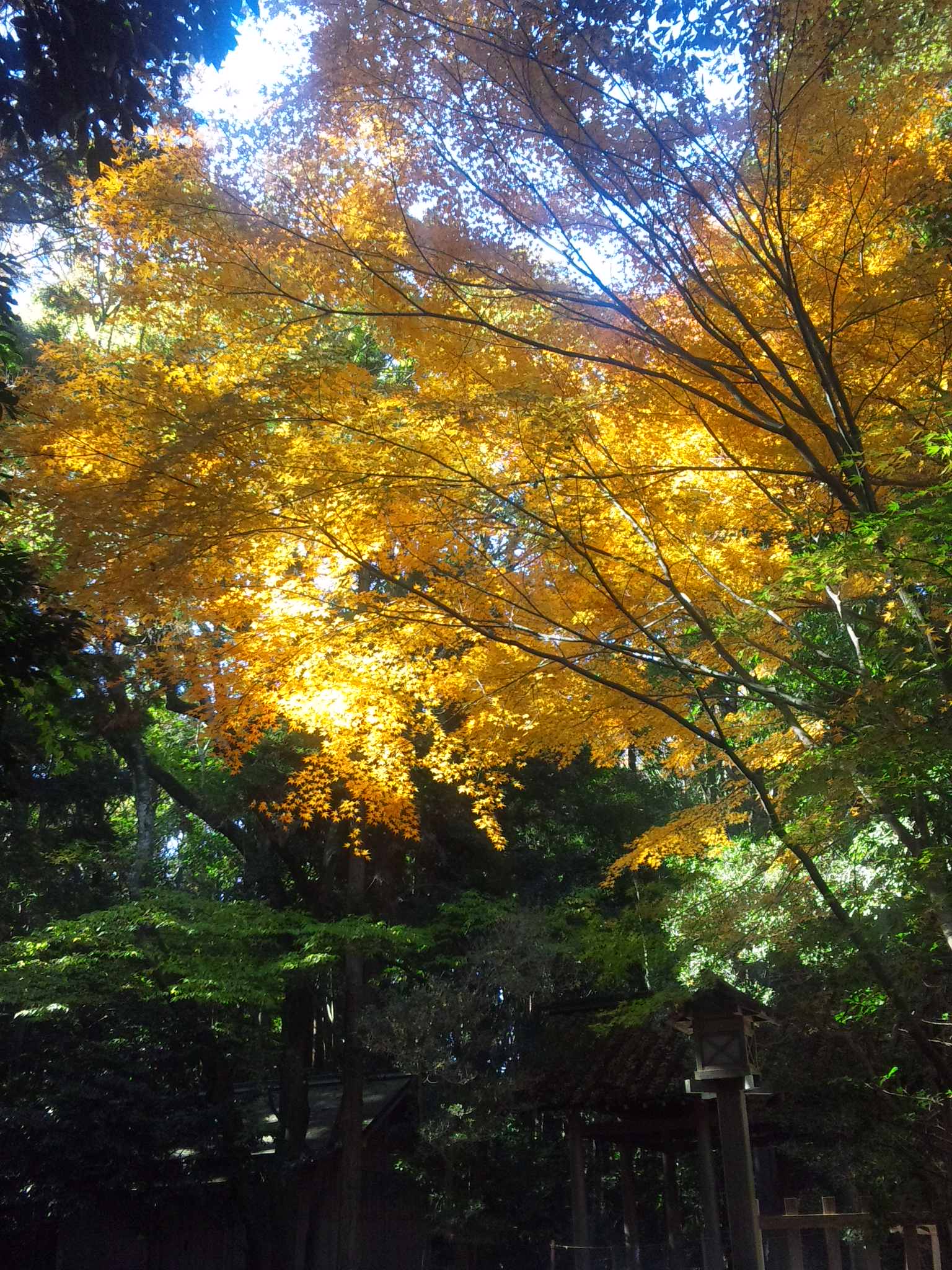 美魔女と巡るすてきな伊勢神宮参詣の旅_d0004717_1016318.jpg