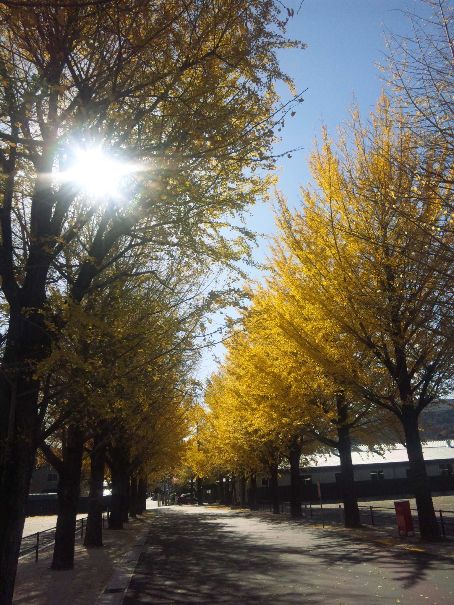 d0004717_10163333.jpg