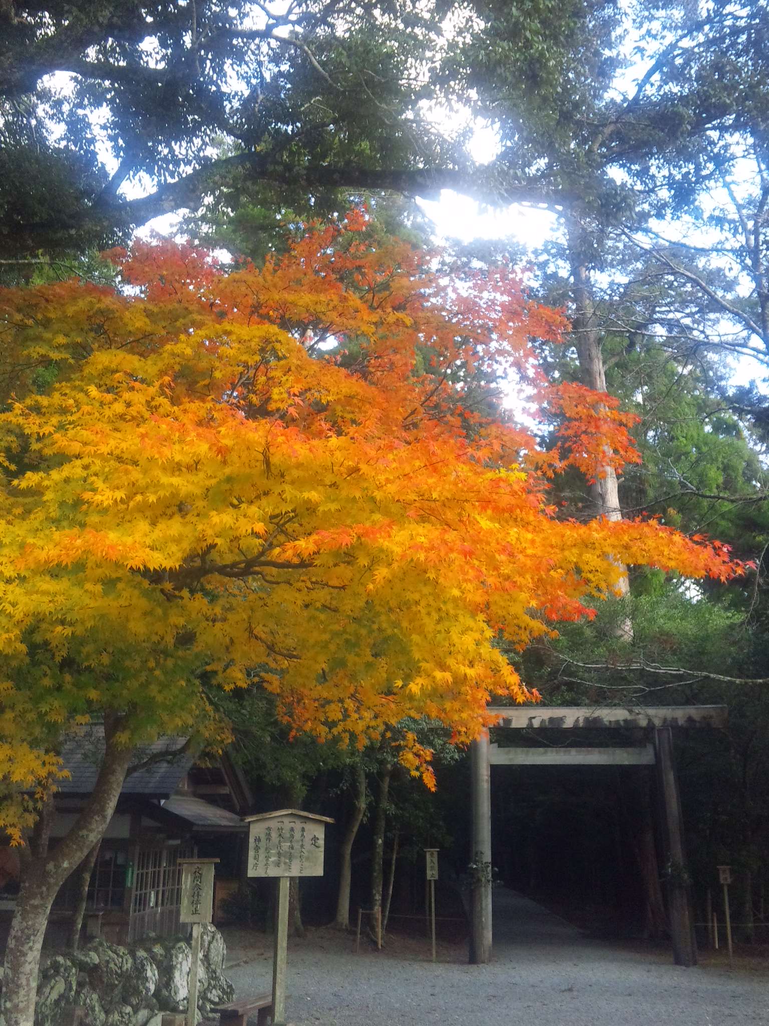 美魔女と巡るすてきな伊勢神宮参詣の旅_d0004717_10173252.jpg