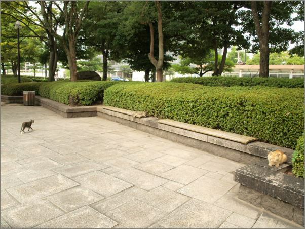 d0114517_1120381.jpg