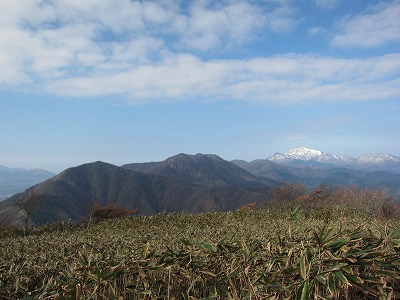 a0172222_655302.jpg