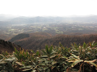 a0172222_71342.jpg