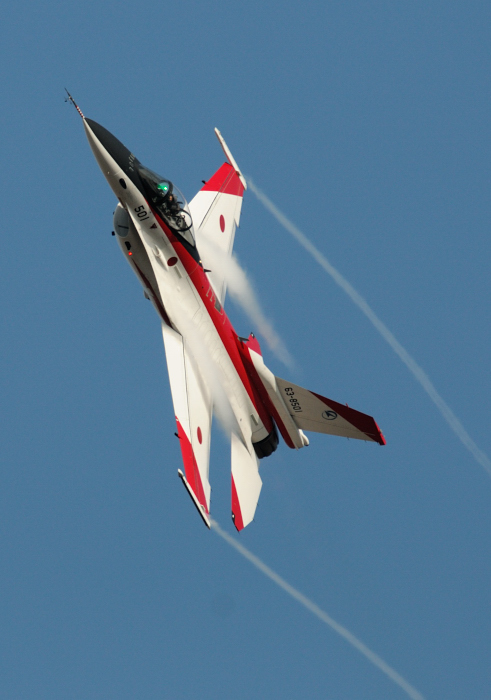 岐阜基地航空祭 2013 ①基地南側編 1/3_a0248022_21450624.jpg