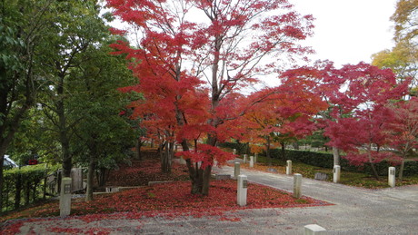 c0280322_23224192.jpg