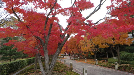 c0280322_23301066.jpg