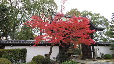 c0280322_2331263.jpg