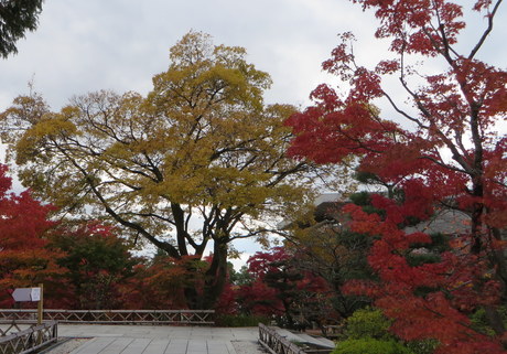 c0280322_23394790.jpg