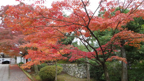 c0280322_23475441.jpg