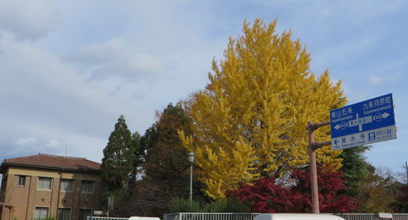 c0280322_2393034.jpg