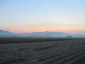 f0147922_206769.jpg