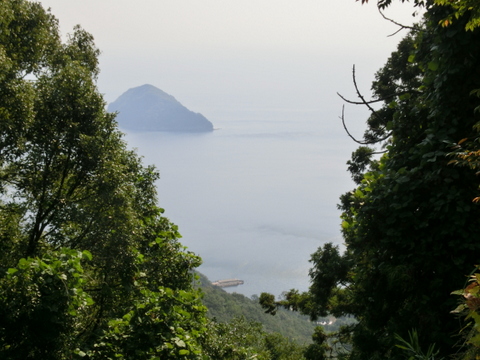 e0008223_46122.jpg