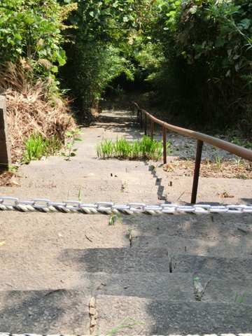 e0008223_46811.jpg