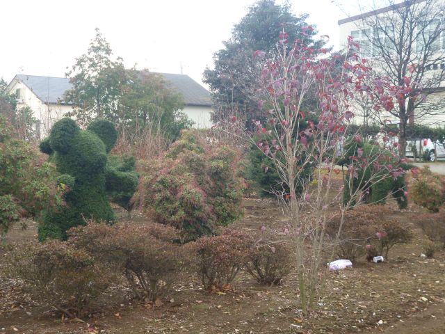 a0166324_21543357.jpg
