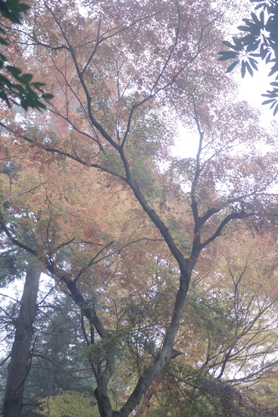 c0107924_22194132.jpg