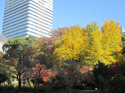 ♪東京再発見Ⅰ★神宮外苑～赤坂見附_d0162225_171981.jpg