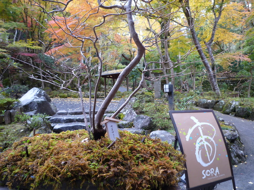 「修善寺ゆったり紅葉狩り」_b0211926_16114119.jpg