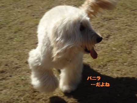 c0254426_0442081.jpg