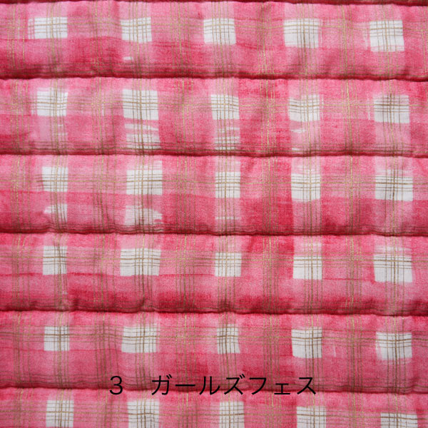 Back number Quilt_f0129726_2362743.jpg
