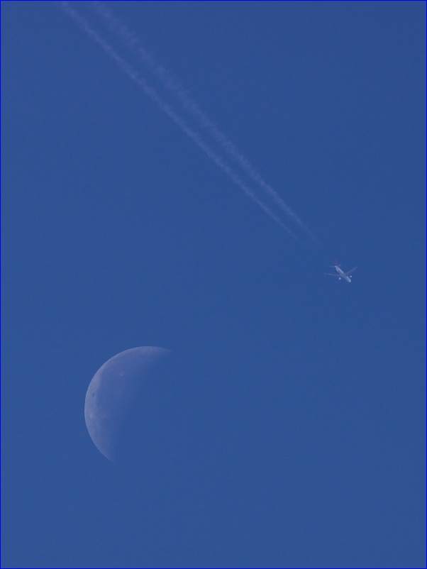 d0137627_018505.jpg