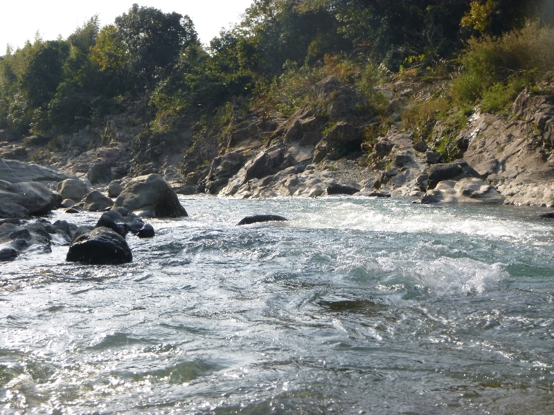 c0113733_0465676.jpg