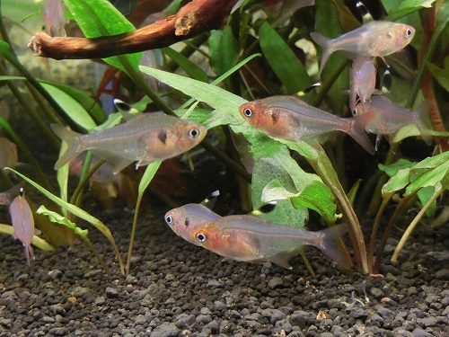 f0304633_13504429.jpg