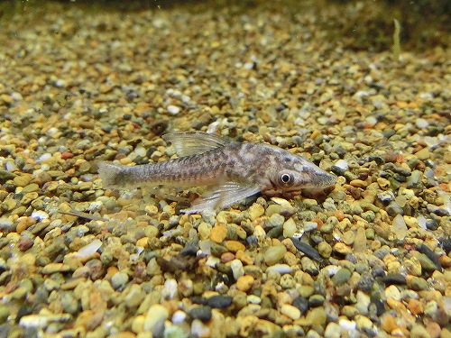 f0304633_141392.jpg