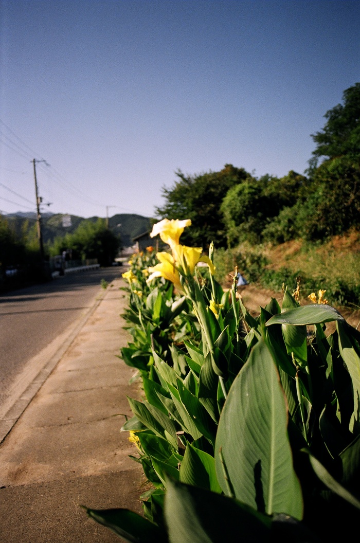 e0149335_1933388.jpg