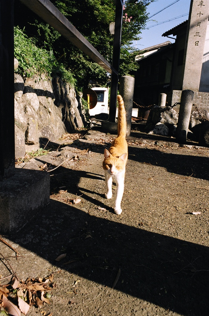 e0149335_19385440.jpg