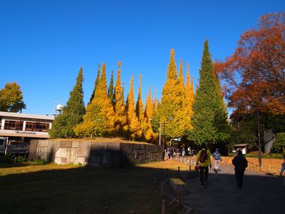 東京行脚2013 秋・２１年ぶりの神宮外苑前編_d0079440_19543865.jpg