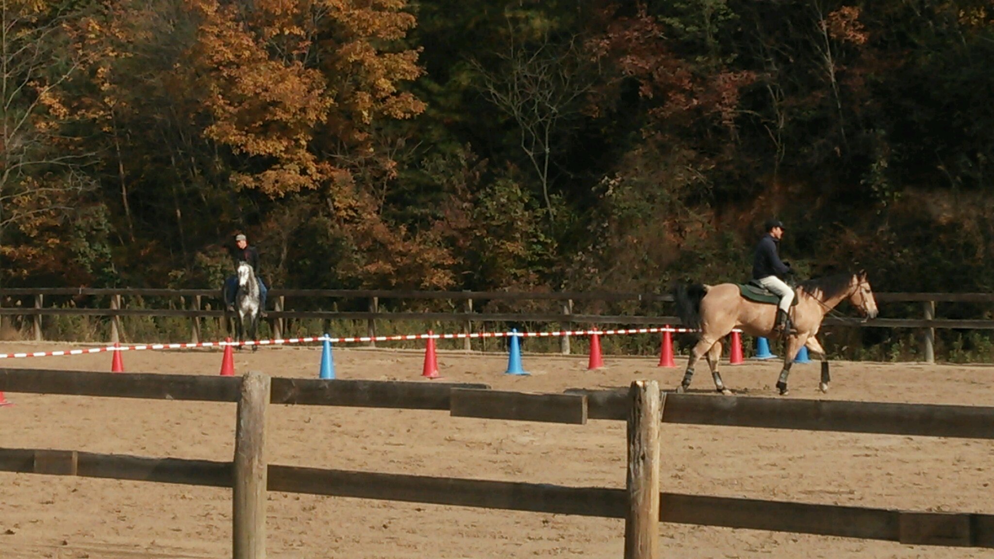 ダシテー!_e0145441_712656.jpg