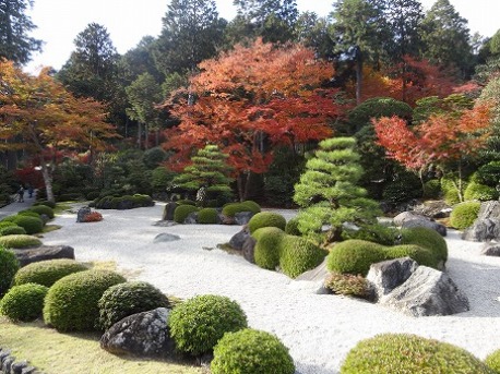 三室戸寺・庭園の紅葉_b0299042_208485.jpg