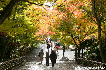 秋色の京さんぽ「龍安寺」_c0024345_1134952.jpg