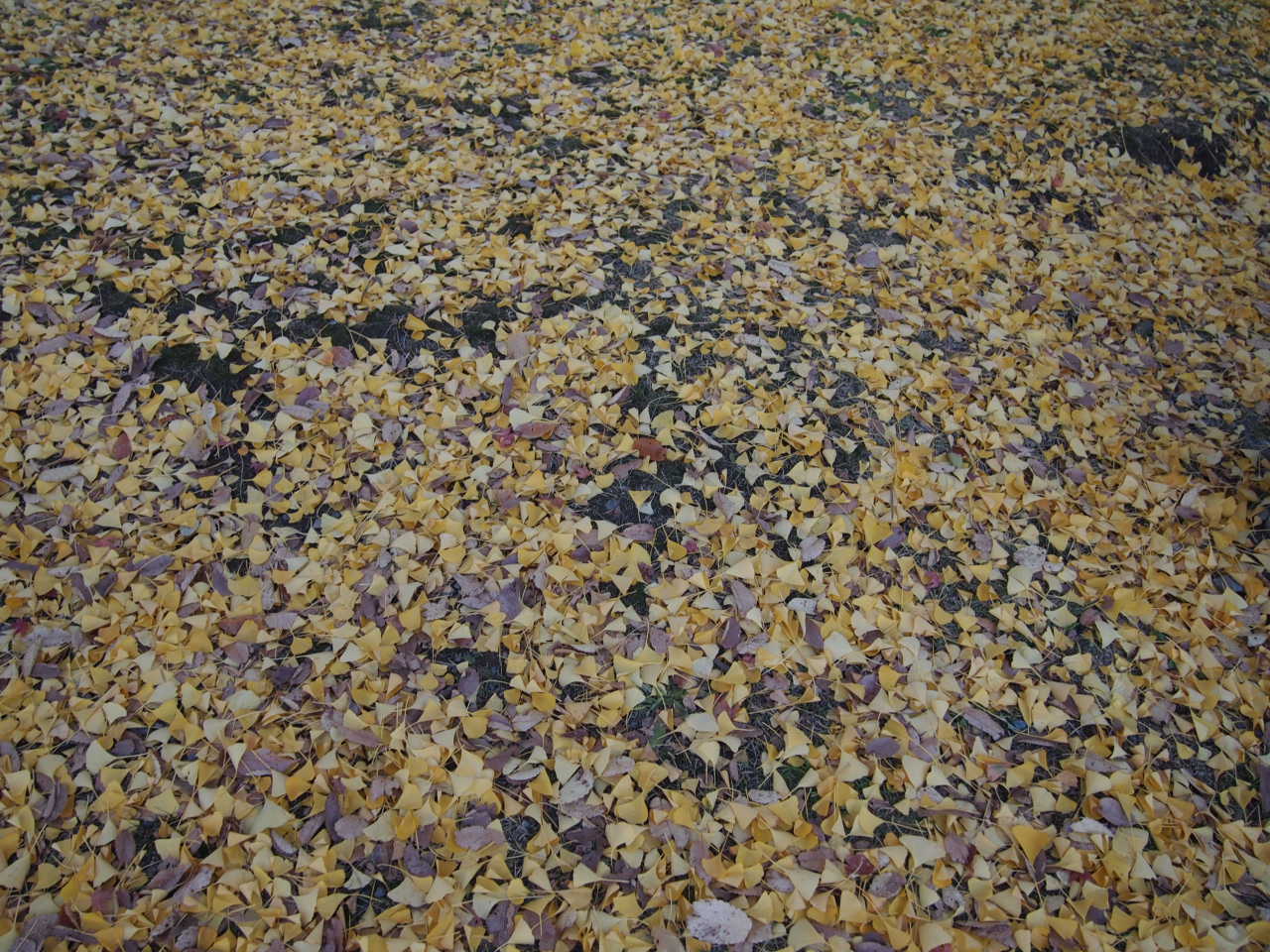 a0212656_21103481.jpg