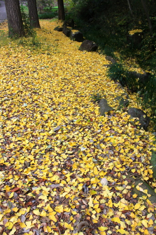a0248459_16482819.jpg