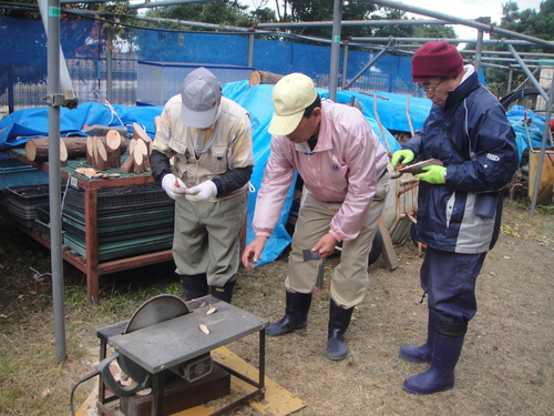 サツマイモ掘り＆イベント準備_c0108460_1862578.jpg