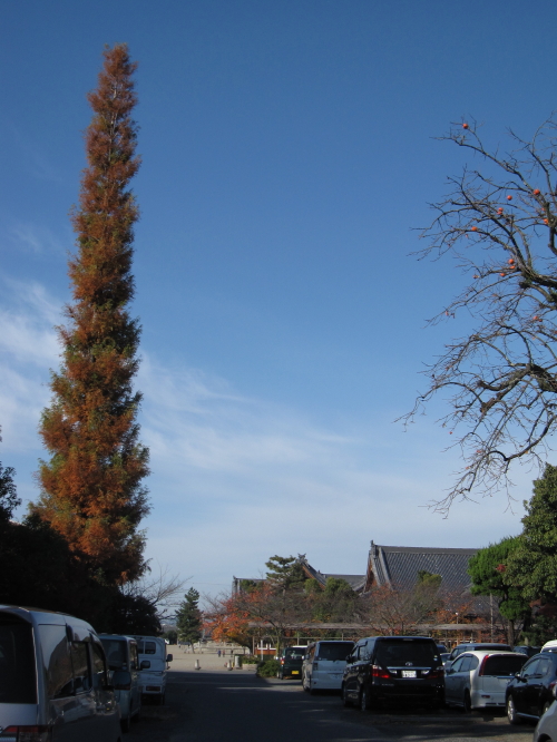 紅葉、黄葉… 20131127_c0157164_0322938.jpg