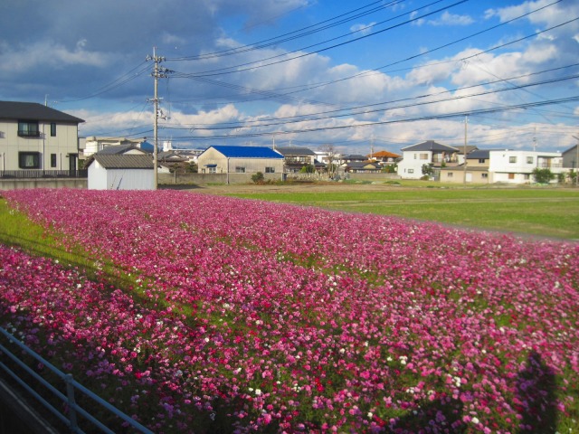 車も冬支度_c0219866_1835738.jpg