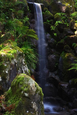 e0045768_22141635.jpg