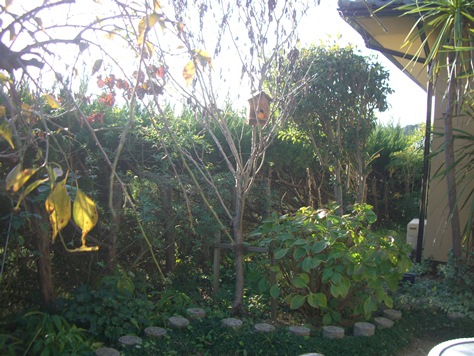 e0240973_2016183.jpg