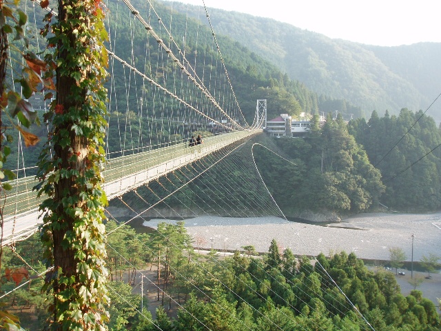 SUSPENSION BRIDGE_f0200477_20561915.jpg