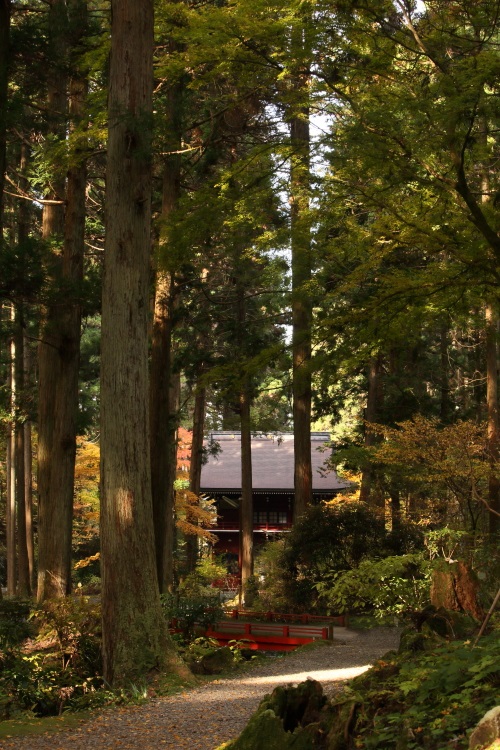 御岩神社　日立市 <2>　２０１３・１１・２４_e0143883_18223461.jpg